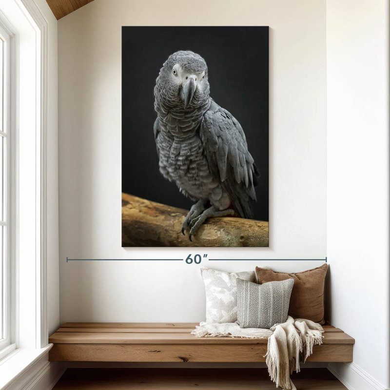 Brampt Congo Grey Parrot, 51" H x 34" W
