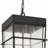 Eliurt 3 - Light Outdoor Hanging Lantern Dimmable Outdoor Lights