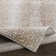 Angelick Camel/Light Gray Area Rug