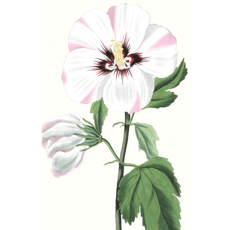 Floral Beauty III - Painting on Canvas, 76cm H x 51cm W, Wrapped Canvas