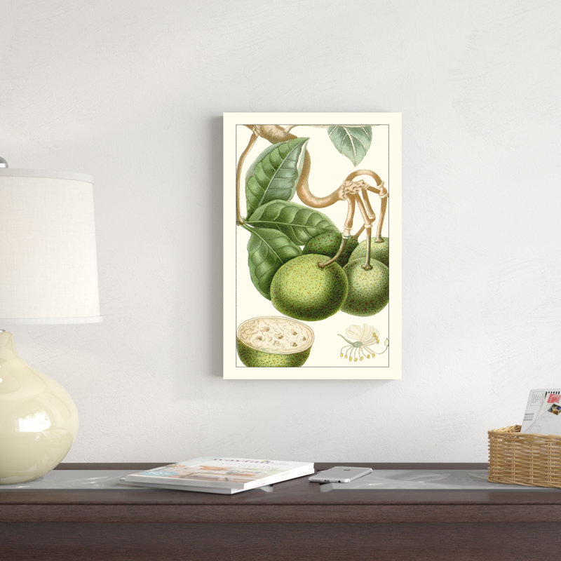 Turpin exotique botanique VI, H 18 po x l 12 po x P 1,25 po