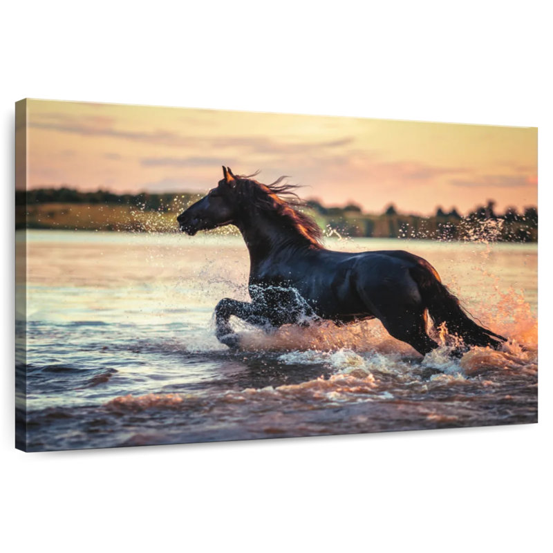 Brampt Black Friesian Stallion Horse, 20" H x 30" W