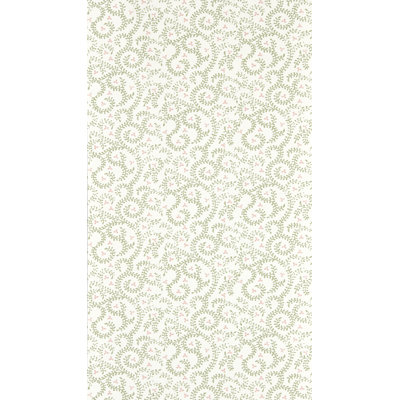 Buta Teal