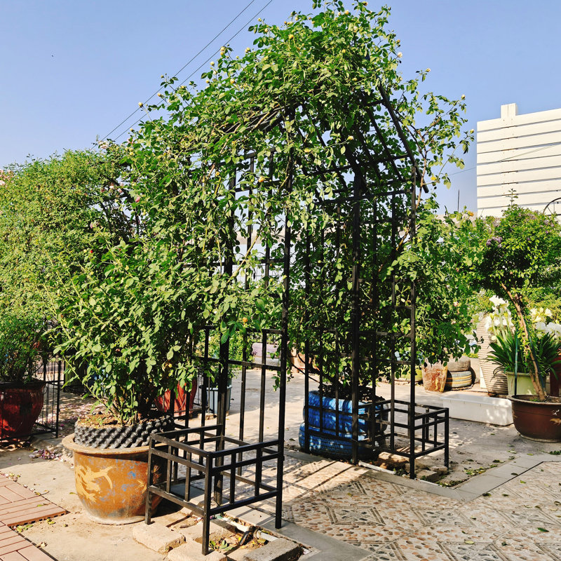 Width W68.11''~W94.29'' Patio Adjustable Metal Garden Arch Trellis,Climbing Plant Support,Anti-Rust Coating