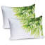 Ensemble de 2 taies décoratives Ambesonne-99905564