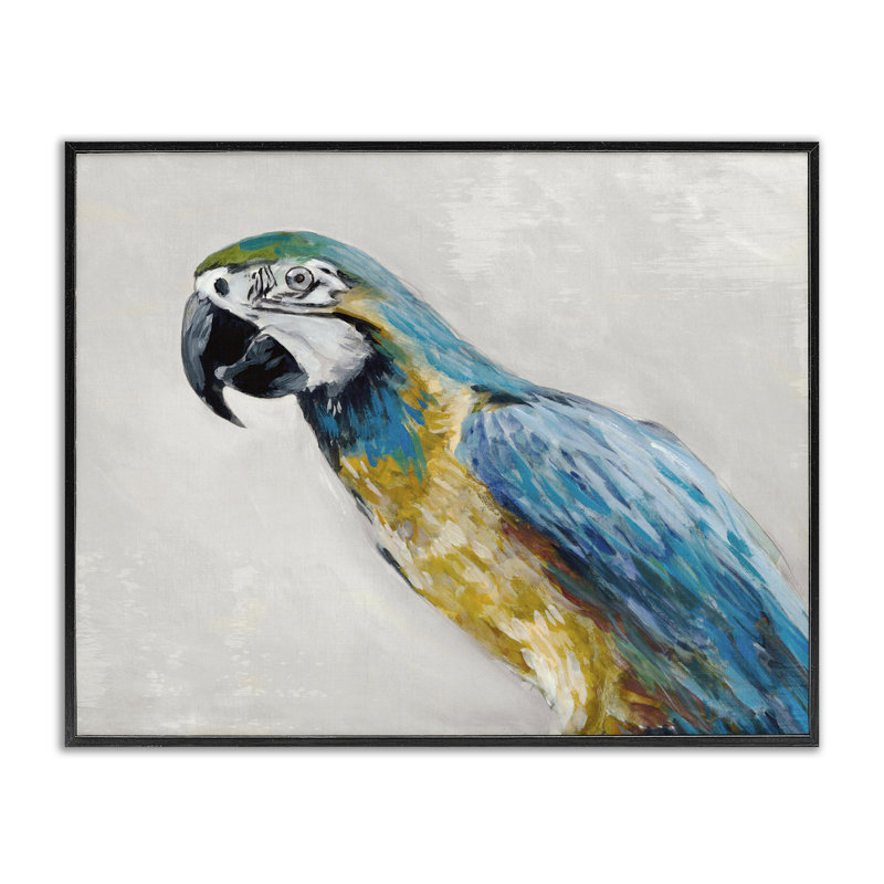 Portrait de perroquet Polly, estampe numérique, conception par Jacob Q, H 11 po x l 14 po, Giclée encadrée noir minuit