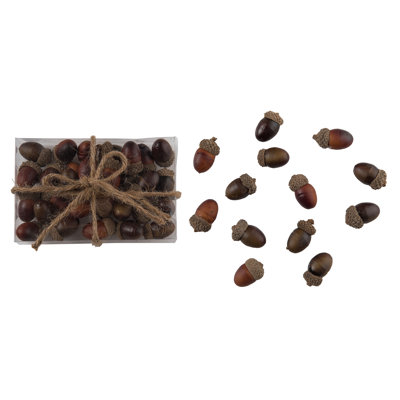 Matériau naturel 6,3 po. Glands de récolte bruns avec présentoir