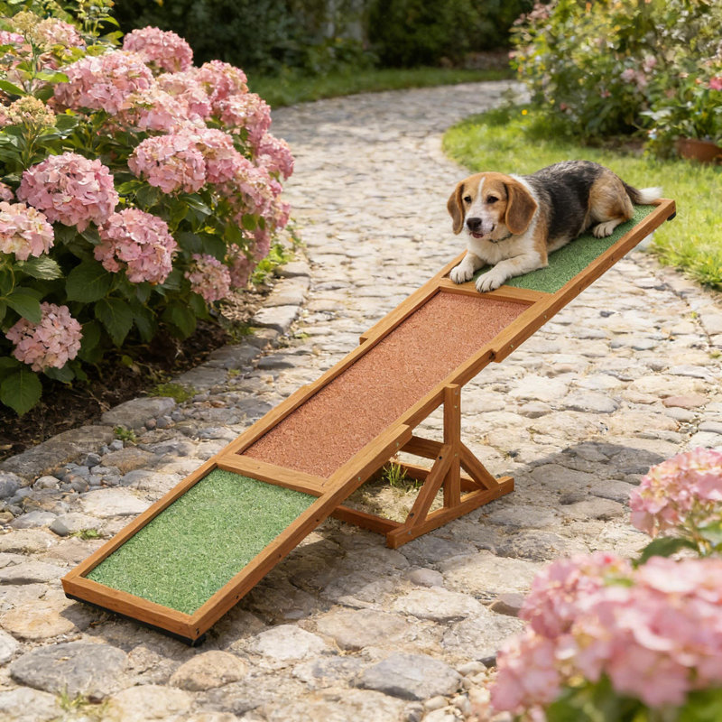 Balançoire en bois pour animaux de compagnie