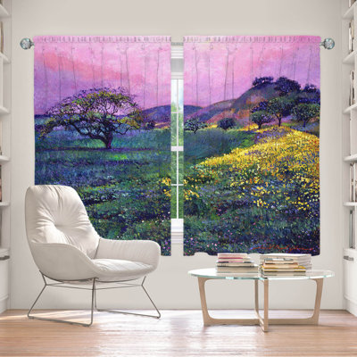 Delaughter Room Darkening Curtains / Drapes Pair