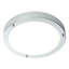 Frosted Glass Flush Mount