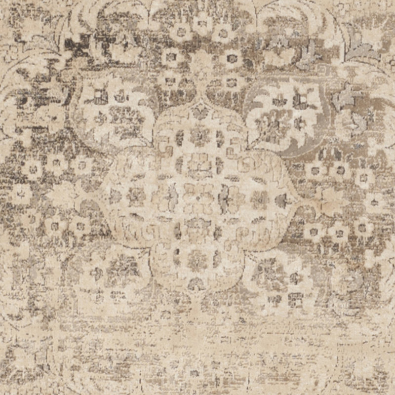 Beauchamp Oriental Area Rug, Rectangle 66 x 244 cm