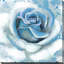 «Blue Rose», reproduction de peinture à l'huile sur toile tendue-29334490