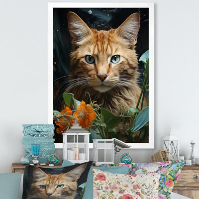 " Havana Brown Mystique Cat "