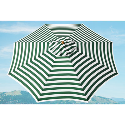 Langer Replacement Canopy