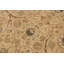 Tapis brun clair en laine noué à la main à motif oriental 9 pi 1 po x 11 pi 11 po Roby