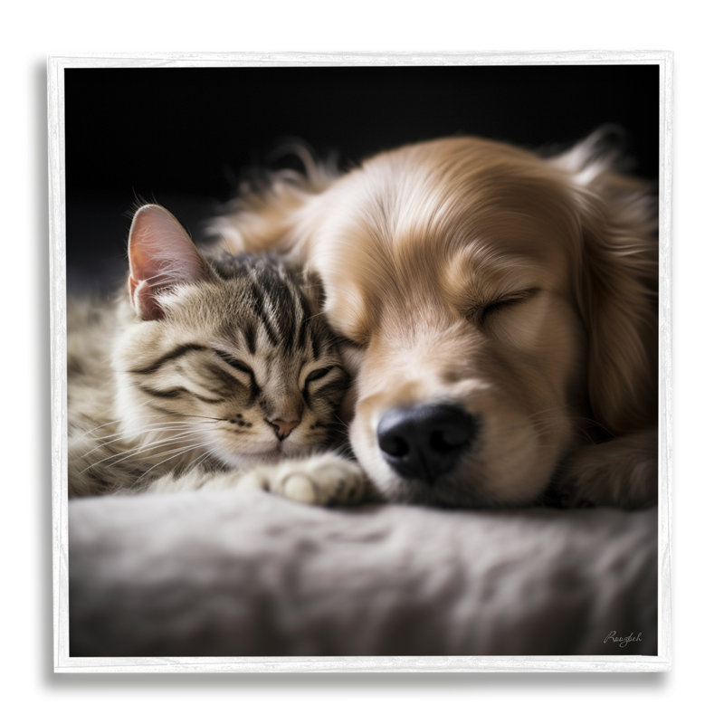 Az-177-Imprimé de chat et de chien encadré, Giclée encadrée blanc bord de mer, H 17 po x l 17 po x P 1,5 po