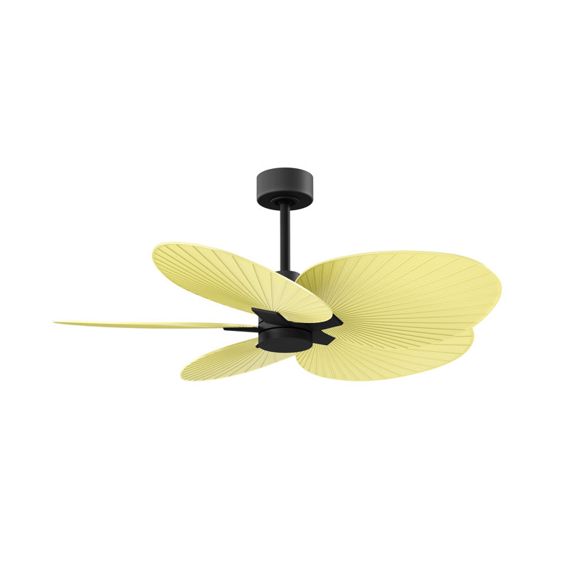 Alessandra - Five Blade Ceiling Fan, Matte Black, Light Yellow