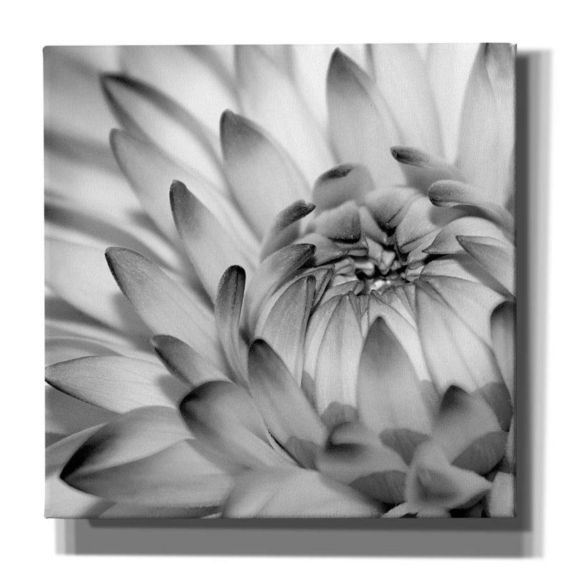 «Fibonacci 2» par PhotoINC Studio, H 26 po x l 26 po x P 1,5 po