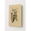 Pic mineur, planche 112 (1827-1838) — Portrait en métal-1888716961