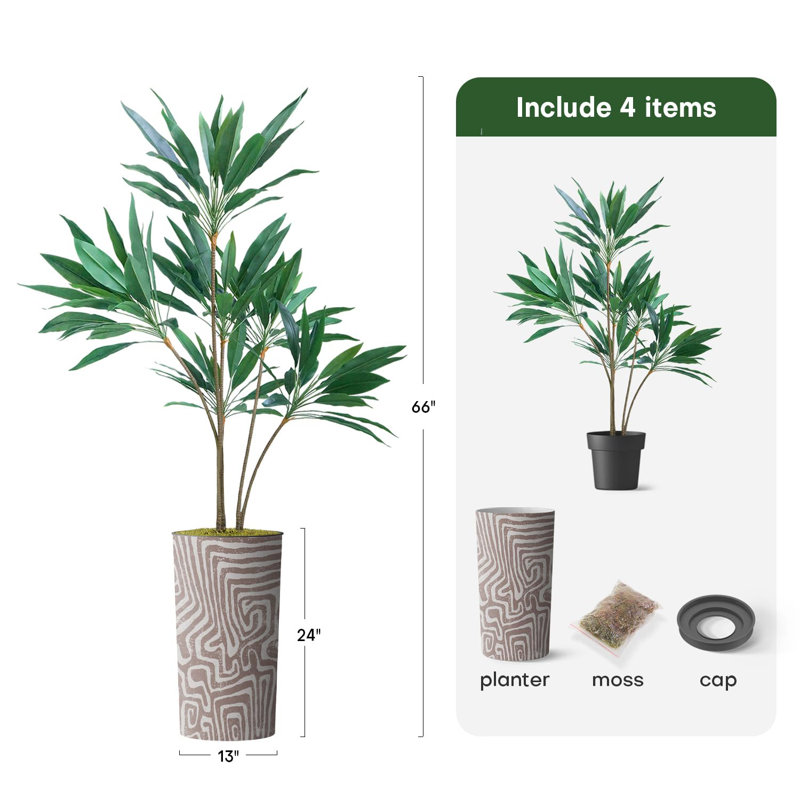 66 plantes, Tourbillon rose