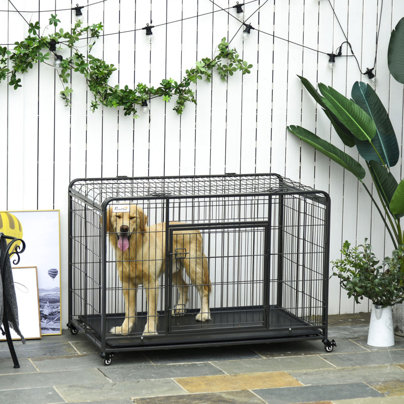 Cage à chien 49 po en métal avec plateau amovible, couvercle et chenil de mobilité pratique - conception pliante et plateau