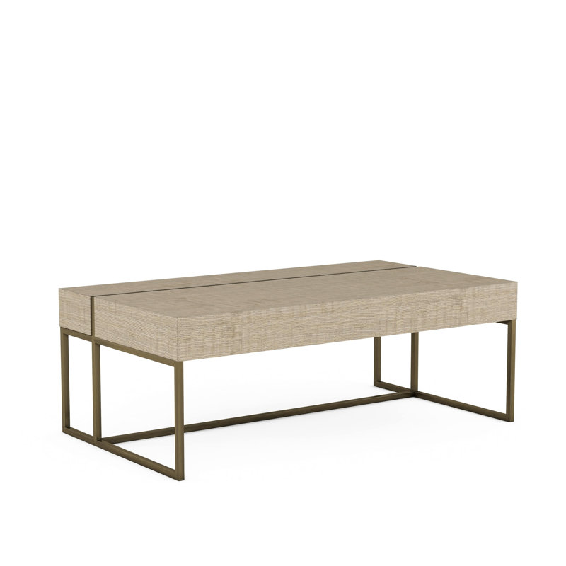 Shale Rectangular Lift-Top Coffee Table with Storage in Figured Ash & Metal