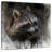 Brampt Mischief Maker-109227786