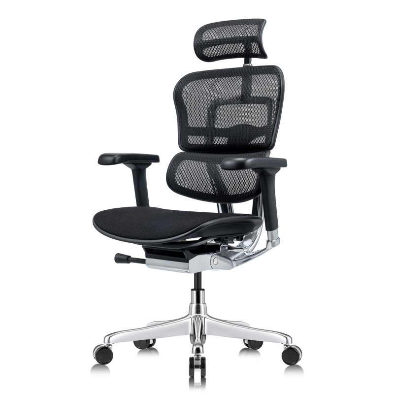 Fauteuil de bureau ergonomique Tempur-Pedic Ergohuman Gen2, Noir