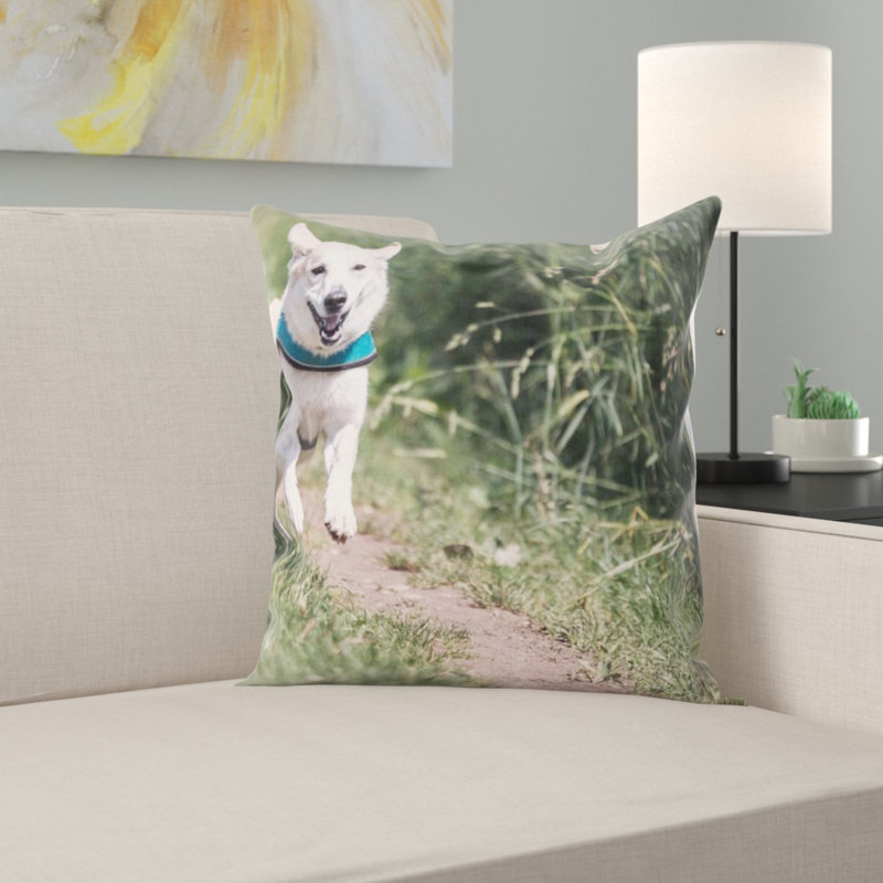 Coussin pour chien