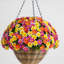 22 po Panier suspendu en marguerite artificielle résistante aux rayons UV (intérieur / extérieur)-861222104