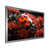 Silver Single Picture Framed