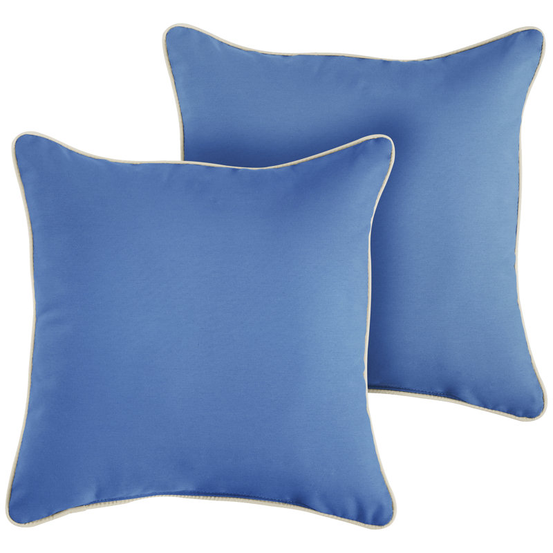 Outdoor Throw Pillow, 18" x 18", Light Blue/Ivory