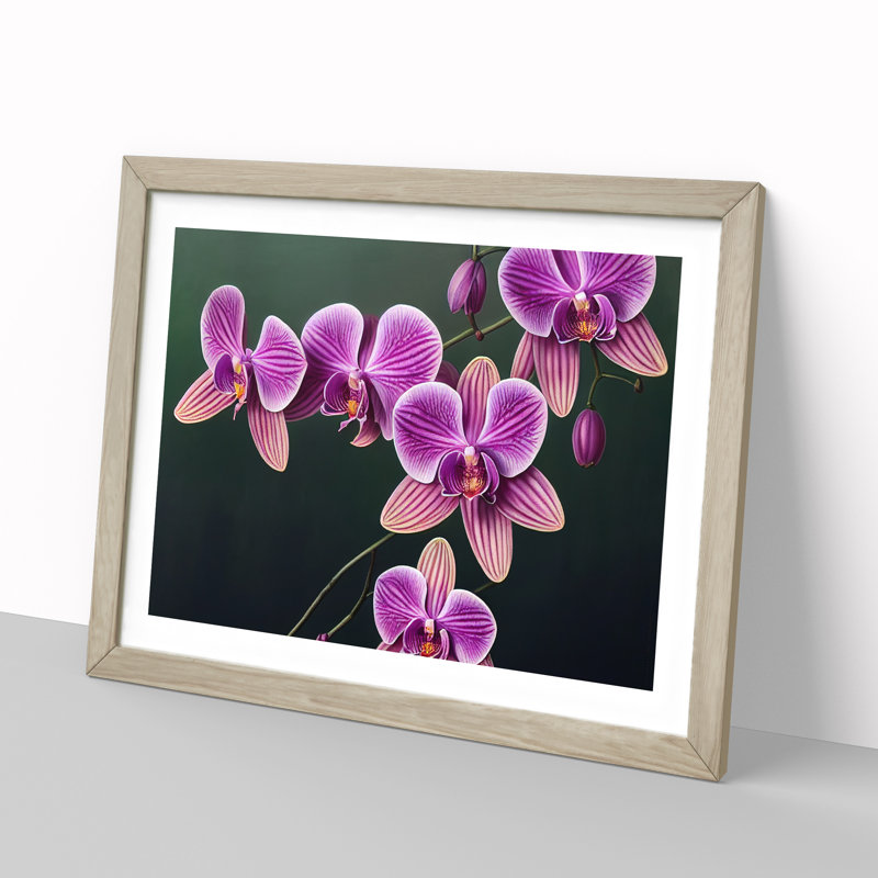 Magnificent Orchid Flowers - Single Picture Frame Print, 46cm H x 64cm W x 2cm D, Oak