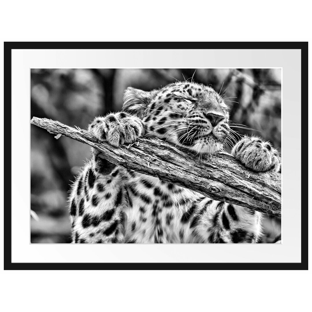 Gerahmtes Poster Verspielter Leopard