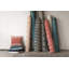 Coussin intérieur / extérieur 22 po-1018223751
