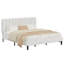 Lit plateforme rembourré en velours amélioré avec tête de lit réglable, conception renforcée et silencieuse, aucun sommier tapissier requis, support de lattes en bois robuste, assemblage facile-658345137-616424660