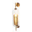 1 - Light Flush Mounted Sconce