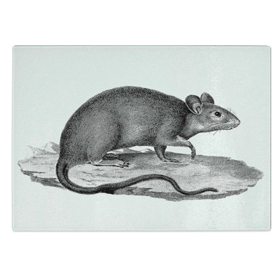 Tempered Glass Rat Illustration Chopping Board