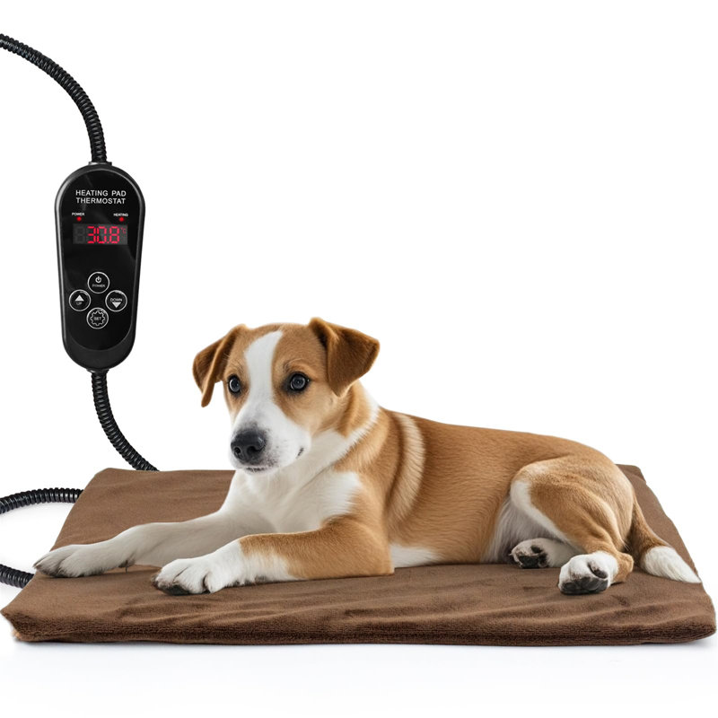 Naiya Pet Bed Cushion