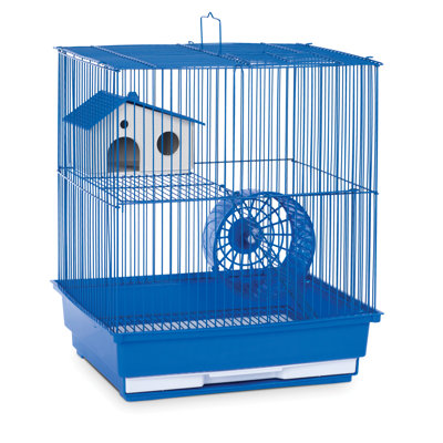 Cage à souris avec rampe Kalish