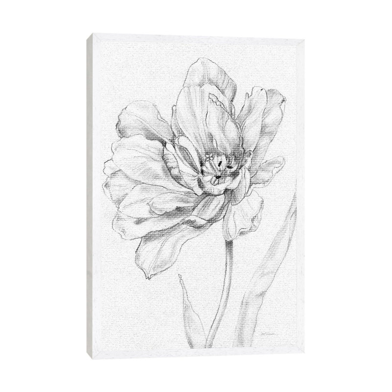 Tulip Sketch by Carol Robinson - Print on Canvas, 101.6 cm H x 66.04 cm W, White Framed