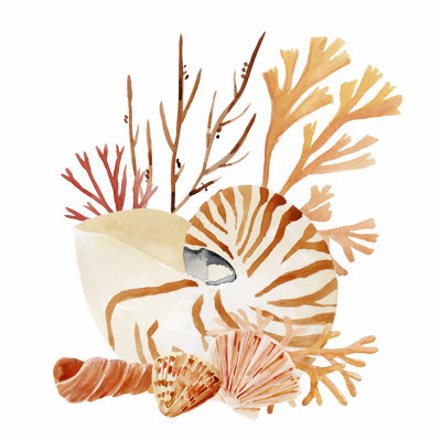 Nautilus Grouping I by Annie Warren - Wrapped Canvas Painting