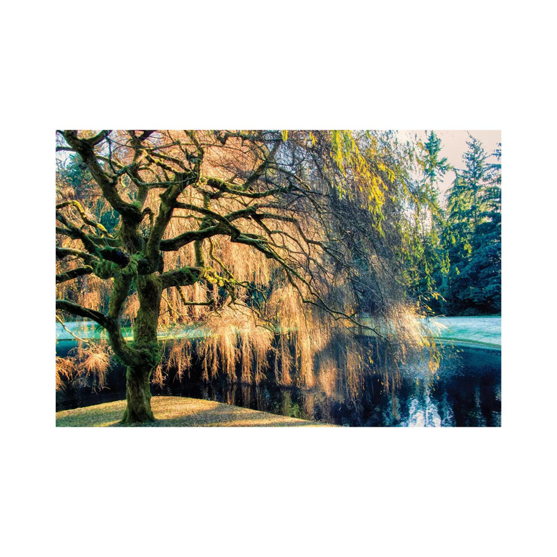 Willow - Print on Canvas, Wrapped Canvas, 30.48 cm H x 45.72 cm W