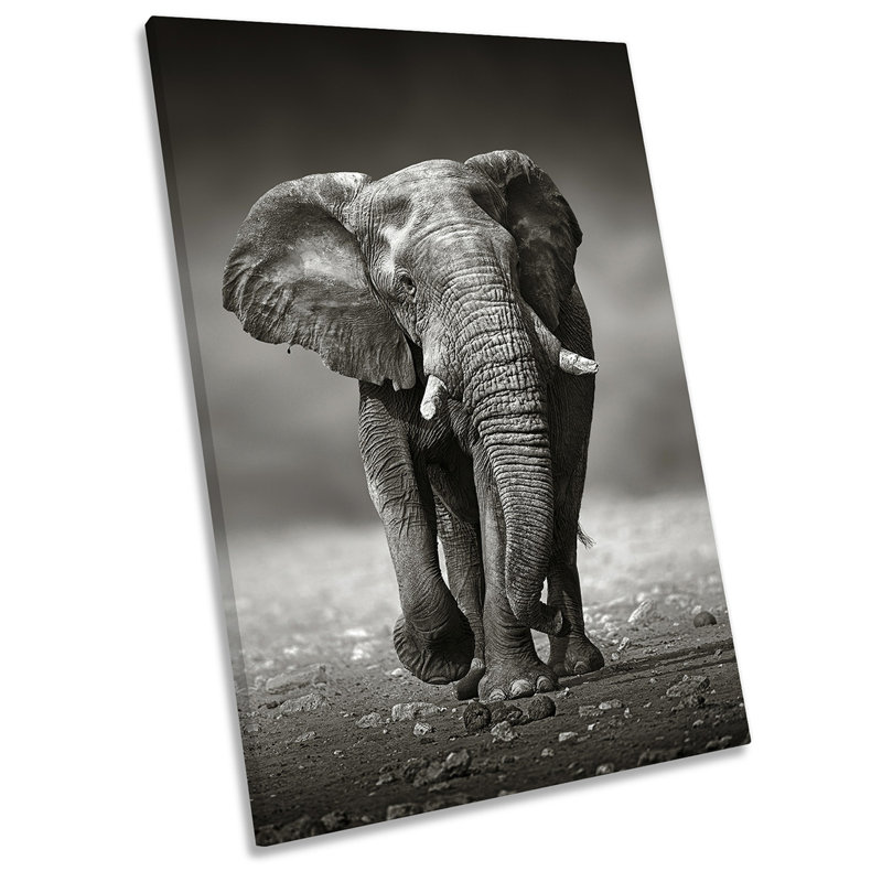 Elephant Wildlife Picture Black & White - Wrapped Canvas Art Prints, 76.2cm H x 50.8cm W