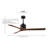 Nan 42" Ceiling Fan In Blades-61451709-12185774