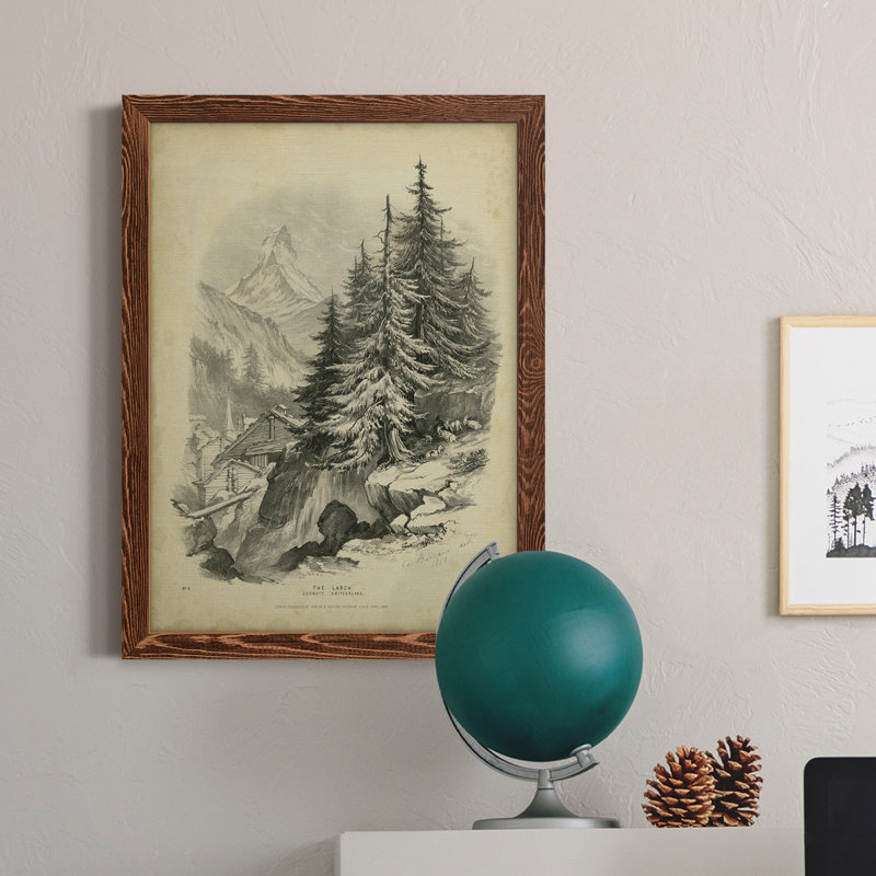 The Larch - Reproduction de photo sur toile, Érable encadré, H 24 po x l 20 po