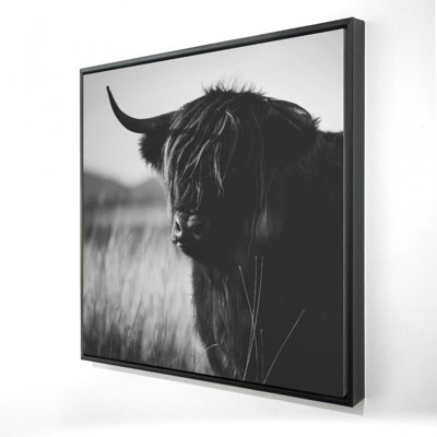 Magnifique reproduction de vache Highland monochrome sur toile