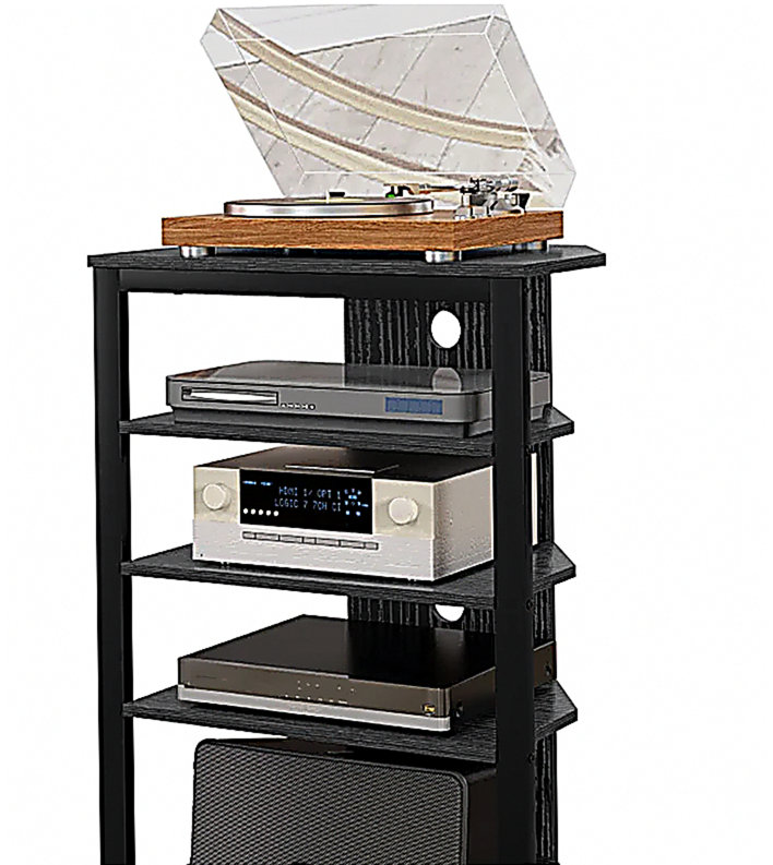Meuble télé, tablettes de rangement et cadre en acier pour la chambre à coucher, noir, Noir