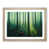Oak Framed