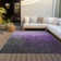  Machine Washable Indoor/Outdoor Chayden ACN1066 Rug